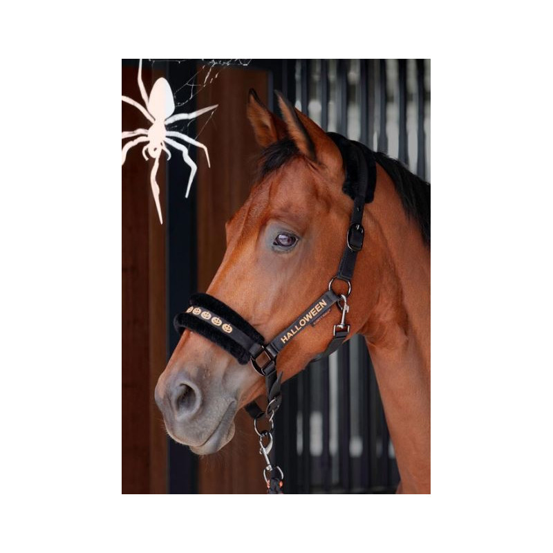 Harry's Horse Halsterset Halloween, Zwart