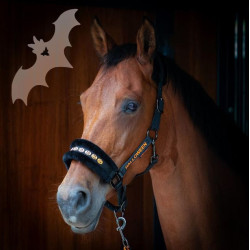 Harry's Horse Halsterset Halloween, Zwart