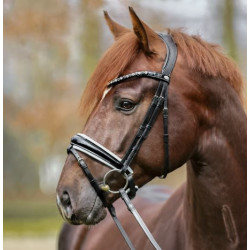 Kavalkade hoofdstel Liliana, zwart lak/wit onderlegd