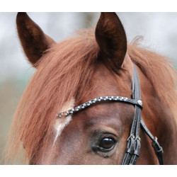 Kavalkade Frontriem Hopscotch, Zwart/Blauw-Wit