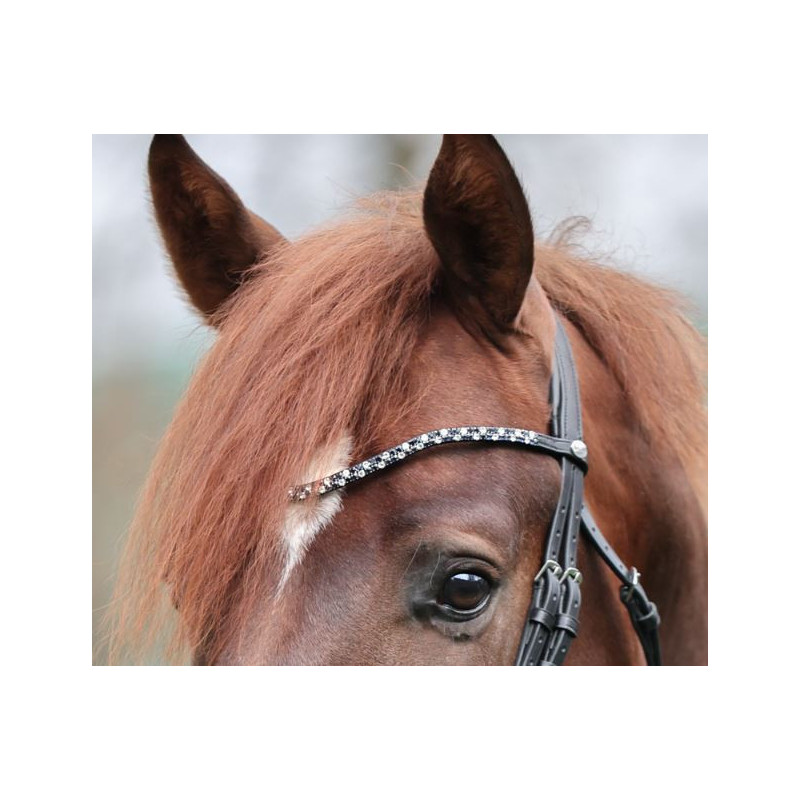 Kavalkade Frontriem Hopscotch, Zwart/Blauw-Wit