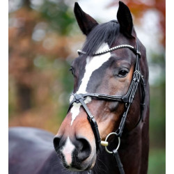 Kavalkade hoofdstel Lucia, Zwart, Mexicaanse neusriem