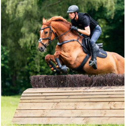 Kavalkade 2-punts voortuig Jerome, Bruin