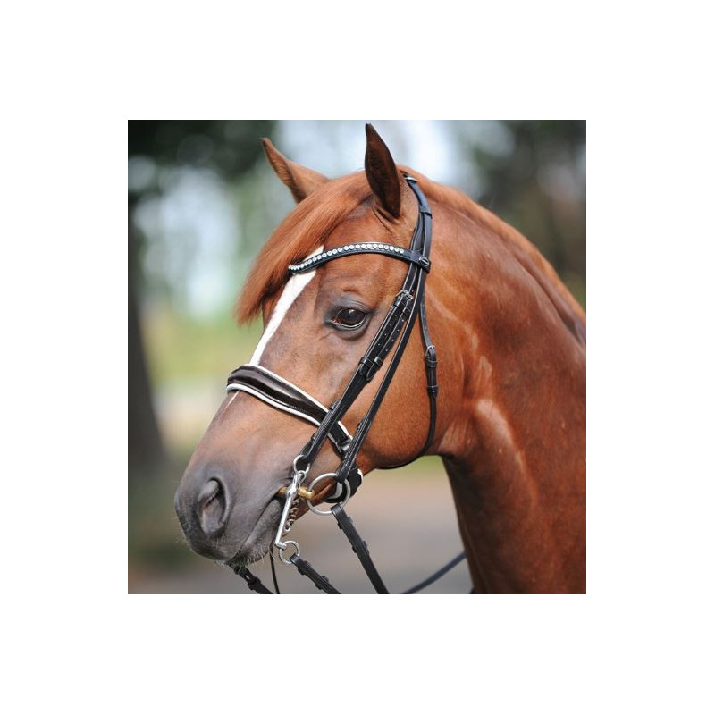 Kavalkade Stang- en Trenshoofdstel Antonia, Zwart/witte lak neusriem, Zwart