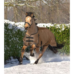 Waldhausen 300gr ARCTIC outdoordeken met losse bijpassende hals, Cappuchino