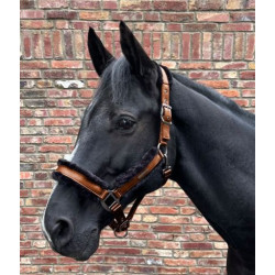 Waldhausen Halster Paris, Cinnamon/Zwart