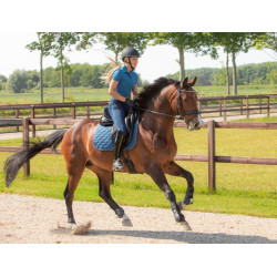 Harry's Horse Zadeldek Krama, Dark-Blue