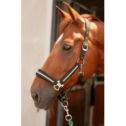 Harry's Horse Halsterset Valli, Rosin