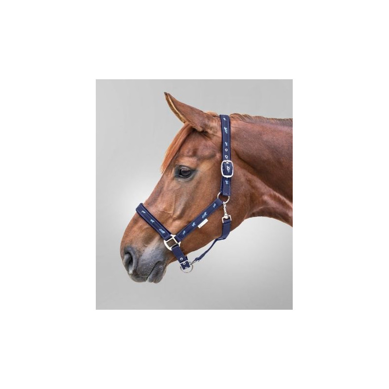 Waldhausen Halster met Paardenmotief, Blauw