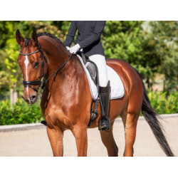 HKM Zadeldek Dressage Competition, Wit/Zilver