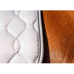 HKM Zadeldek Dressage Competition, Wit/Zilver