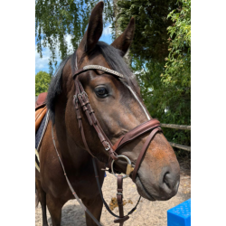 Kavalkade KavalSH4 hoofdstel Everness van geolied leer, Bruin