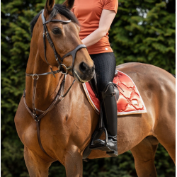 HKM Zadeldek Edinburgh, Cognac