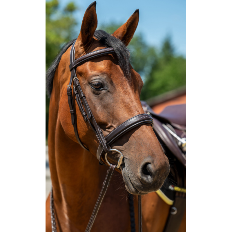 HKM Hoofdstel Hunter 2, zonder sperriem, Donkerbruin