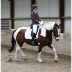 HH Wedstrijdjasje Deluxe Stretch, Bruin