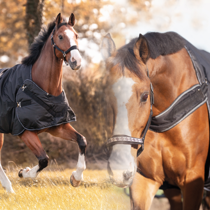 Sample "Halifax" 50gr 2in1 Outdoor- en Stapmolendeken, Navy