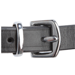 Kavalkade Hannoveraans Hoofdstel Isabella, Zwart