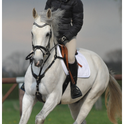 Kavalkade SecureX springsingel met buikflap en borsttuig, Bruin/Marine