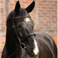 Kavalkade Frontriem Catena, bruin/messing