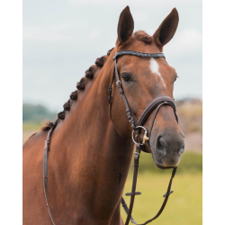 Horka Hoofdstel Nikki, Bruin