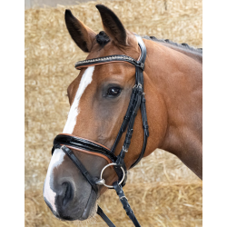 Harry's Horse Hoofdstel Black Cognac, Zwart