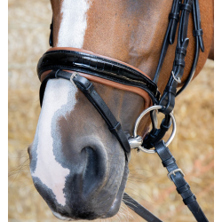 Harry's Horse Hoofdstel Black Cognac, Zwart