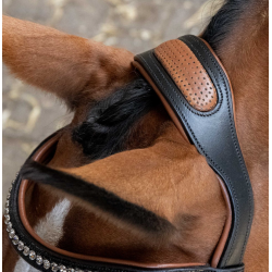 Harry's Horse Hoofdstel Black Cognac, Zwart